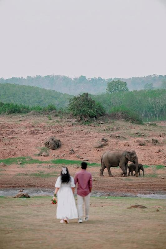 Prasad & Liya